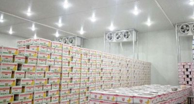 上海食品冷库