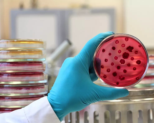 你知道一次性丁腈手套可以在實驗室使用嗎？