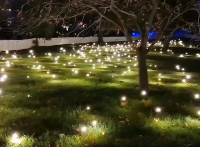 树木亮化灯光设计