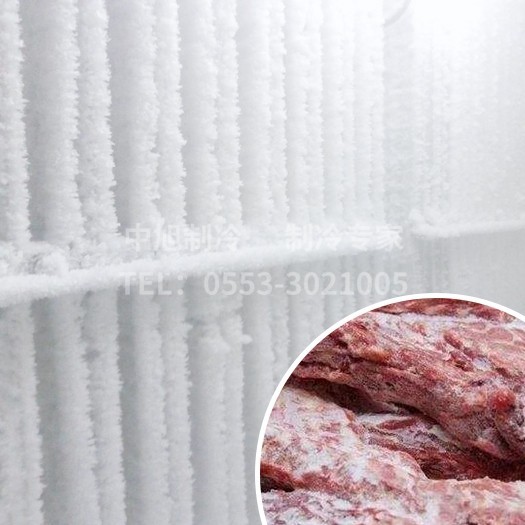 銅陵肉類加工速凍庫