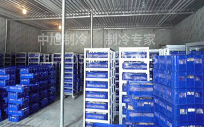芜湖冷库厂家的食品速冻库可以储存什么