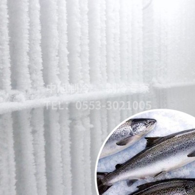 魚加工速凍庫