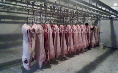 芜湖冷库厂家介绍肉类冷冻库的用途
