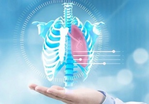 「青蓮百奧客戶文章」TRIB3-EGFR相互作用促進肺癌進展并提供治療靶點