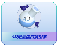 4D-Label free⾮标定定量蛋白质组学
