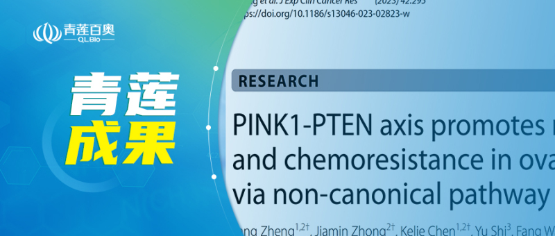 项目文章 | 浙江大学医学院团队发现促进卵巢癌转移和化疗耐药性的治疗新靶点