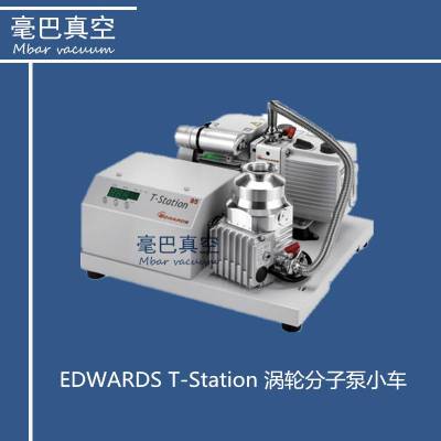 EDWARDS T-Station 渦輪分子泵小車 T-Station 85/T-Station 300