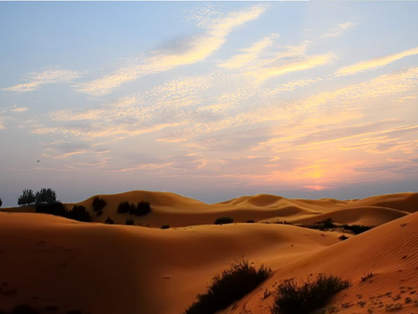 恩格貝沙漠生態旅游區