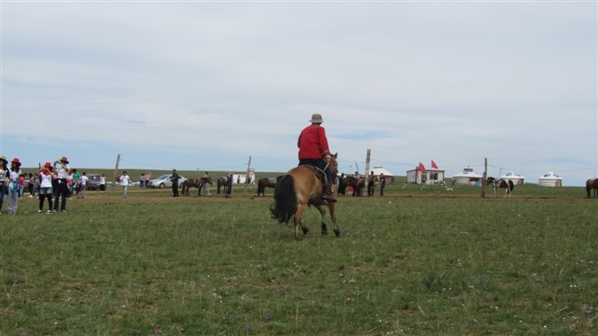內蒙古大草原旅游