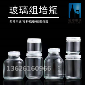 广东各种规格 玻璃组培瓶 育苗瓶
