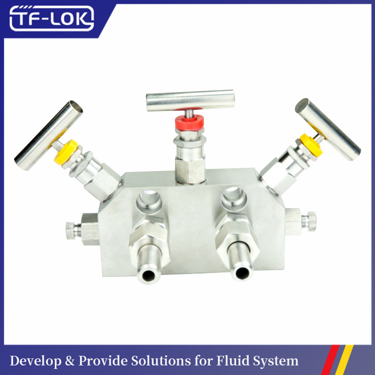 Five valve manifold