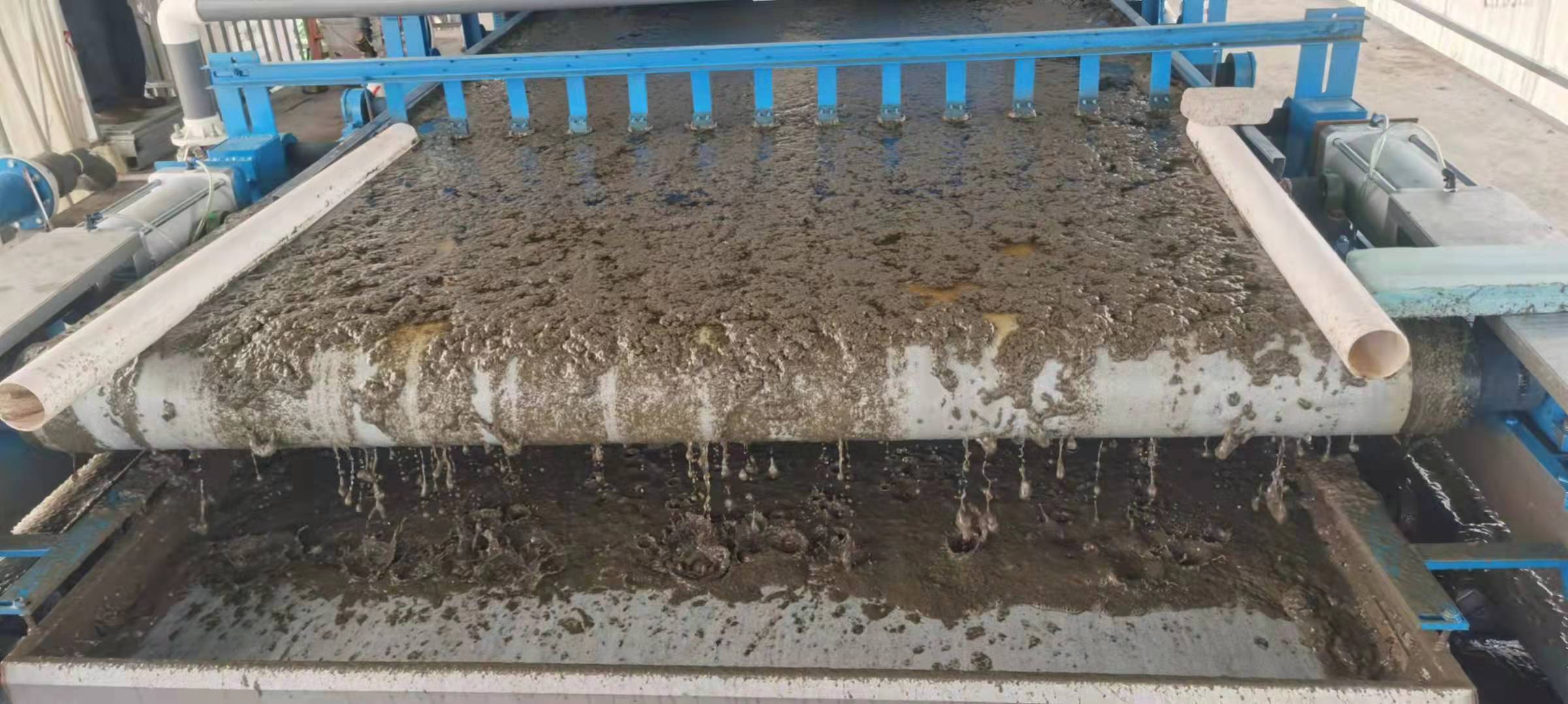 養豬場污泥脫水帶式壓濾機