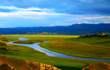 伊犁河谷荡驼铃，驼乳神奇堪白金，为什么好的驼奶在新疆呢？
