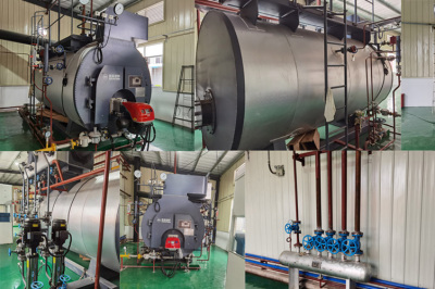 广州丽盈塑料有限公司2吨冷凝气炉代运营服务实景