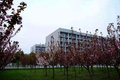 仙桃徐州市生物工程職業技術學院宿舍樓維修