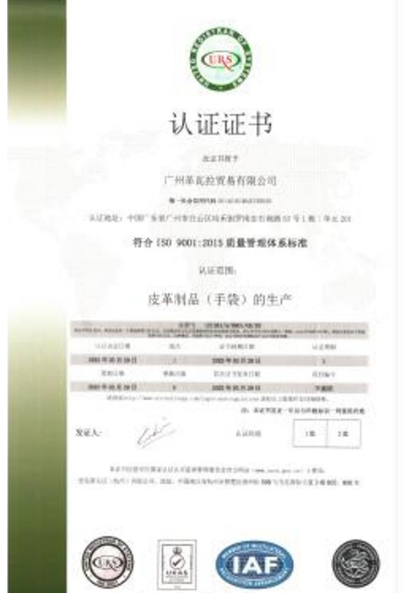 lOS9001证书