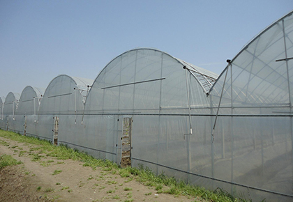 毕节农地膜来带大家了解玻璃温室大棚如何通风换气