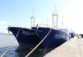 沙窩島遠洋公司四艘金槍釣漁船開赴南太平洋漁場作業