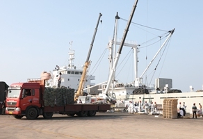 公司“鲁荣远渔运678”远洋运输船返港卸货