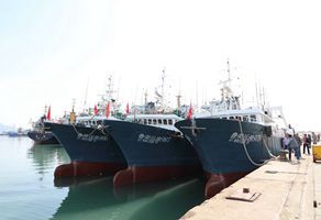 公司五艘远洋渔船重返渔场
