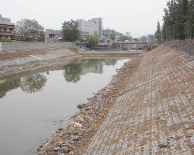 贵阳河湖驳岸生态修复技术