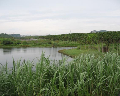 贵阳人工湿地系统