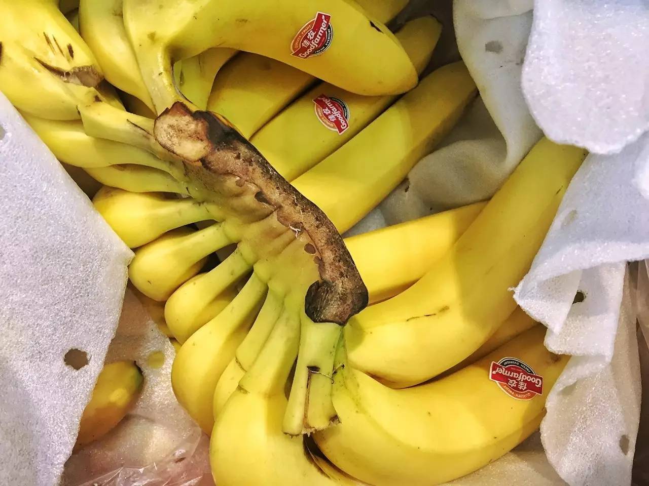 香蕉标签