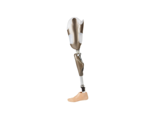 葫蘆島大腿假肢