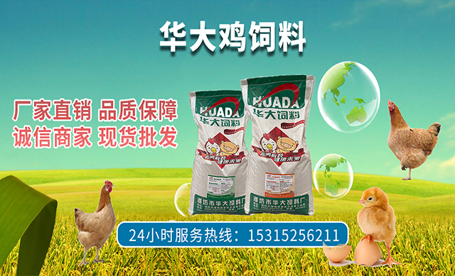 枣庄高质量蛋鸡料生产厂家