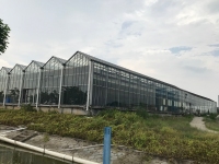 广州银鲈养殖基地