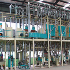 林芝日加工玉米100-150噸聯產生產線