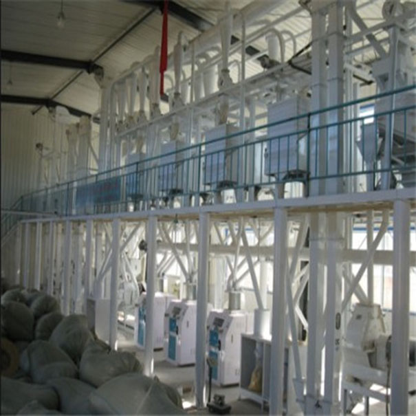玉樹日加工玉米80噸聯產生產線