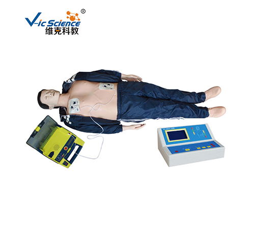 遼寧CPR急救模型