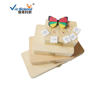 廣東木質切片盒