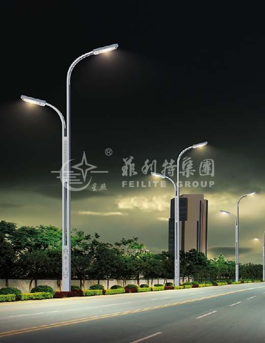 道路燈FLT-LDE-002
