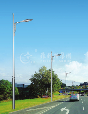 道路燈FLT-LDE-038