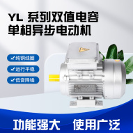 绍兴YL-系列双值电容单相异步电动机