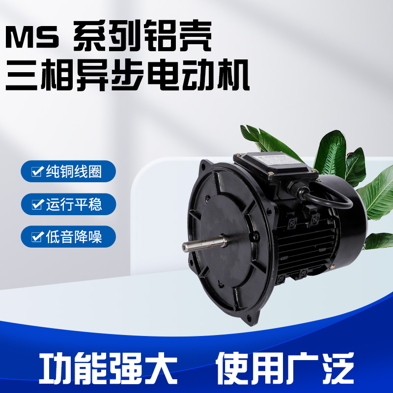 MS series aluminum shell three-phase asynchronous motor