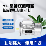绍兴YL series double-value capacitor single-phase asynchronous motor