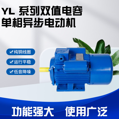 湖州YL series double-value capacitor single-phase asynchronous motor