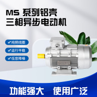 绍兴MS series aluminum shell three-phase asynchronous motor