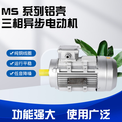 衢州MS series aluminum shell three-phase asynchronous motor