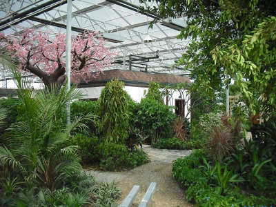 植物園溫室