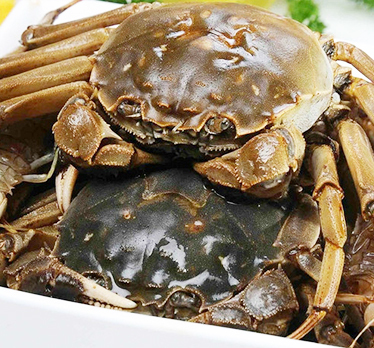 东港螃蟹