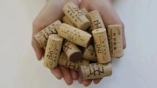 软木颗粒//关于葡萄酒塞，你都需要知道哪些？