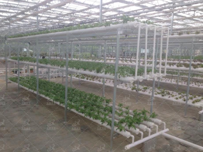扬州温室及立体种植项目