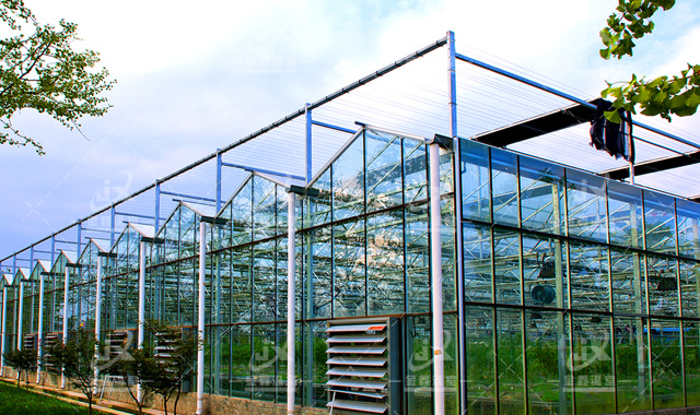 新型農業模式——溫室大棚