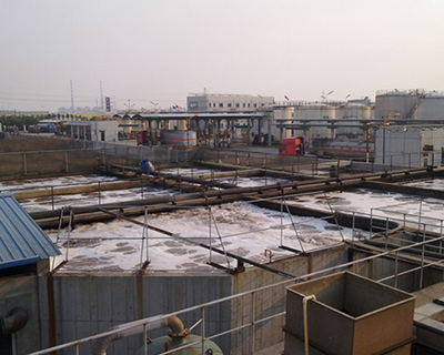 浙江恒昌皮革有限公司污水處理工程廢水處理設備廠家