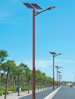 新農村太陽能路燈EG-1602