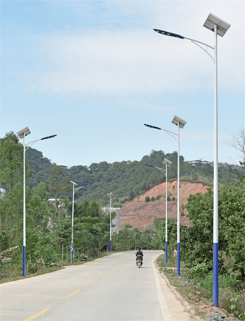 農村太陽能路燈EG-1301